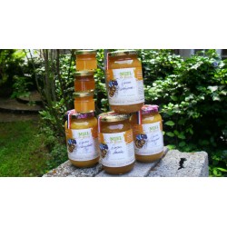 Quatuor de miels mfm86 500 et 45 gr.