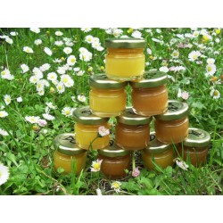 Echantillons 45 grammes de miels néo-aquitains mfm86