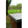 Ruche du Moulin-Milon avec vue sur pommiers du jardin - mfm86