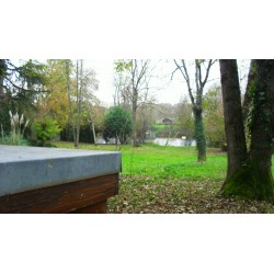 Ruche du Moulin-Milon avec vue imprenable sur la Vienne - mfm86